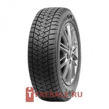 Bridgestone Blizzak DM-V2